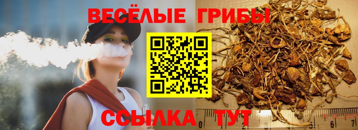 Псилоцибиновые грибы Magic Shrooms Подольск