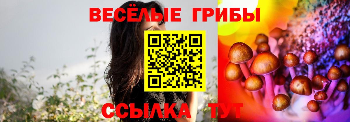 Галлюциногенные грибы Psilocybe  Вход с VPN  Подольск 